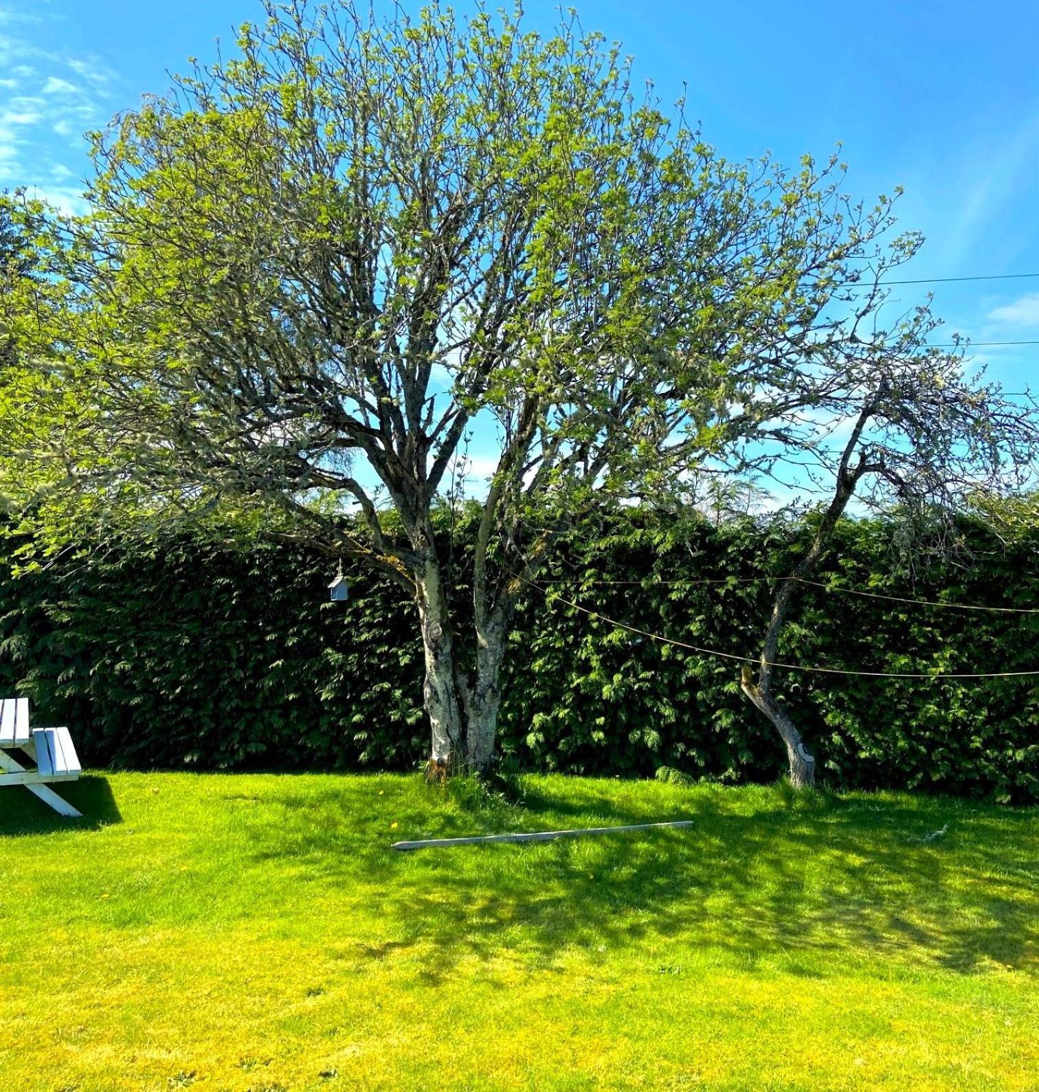 26 Green Drive Inverness Inshes Экстерьер фото